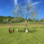 Gospodarstwo agroturystyczne Ca' Cristane