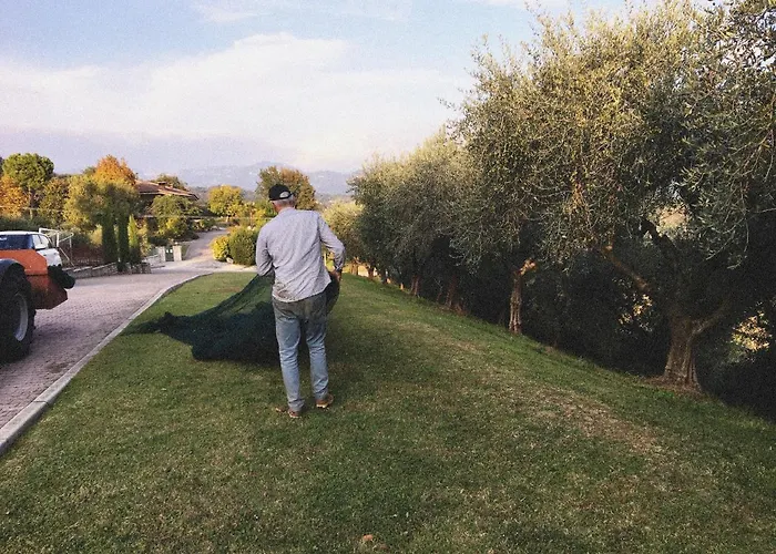 Agriturismo Ca' Cristane Rivoli Veronese