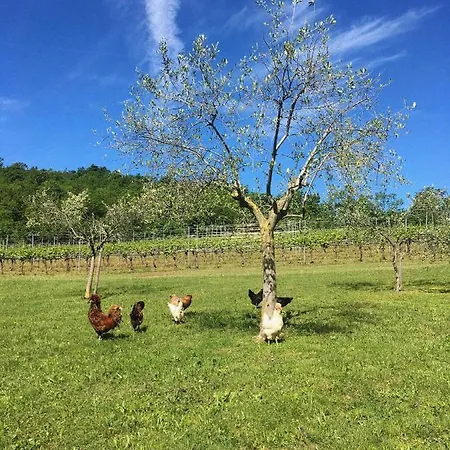 Lantgård Agriturismo Ca' Cristane