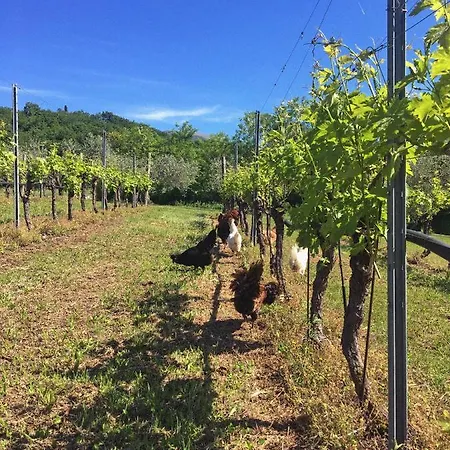 Agriturismo Ca' Cristane