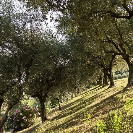 Farm stay Agriturismo Ca' Cristane *