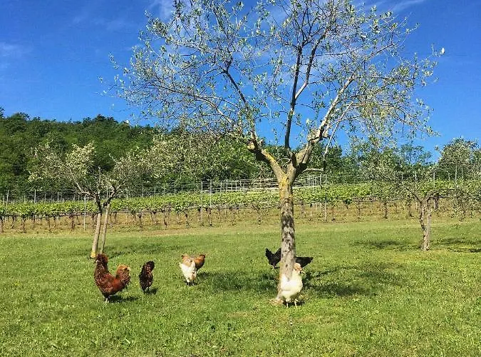 Farmház Ca' Cristane